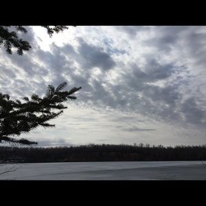 Meet your Posher, Shani